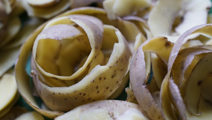 cáscara de patata - fertilizante de orquídeas