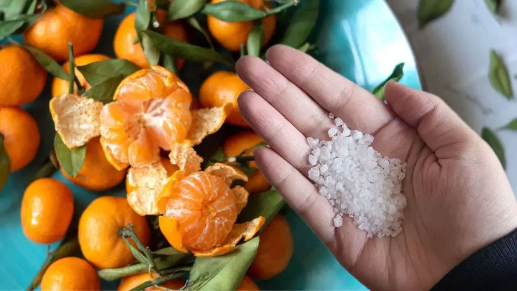 Cáscaras de mandarina, no las tires y mézclalas con sal: el motivo – Mis Consejos Jardinería