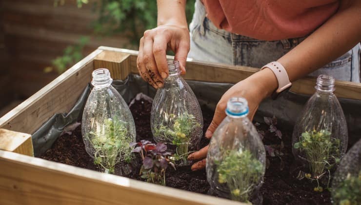 Reciclar botellas como jarrones