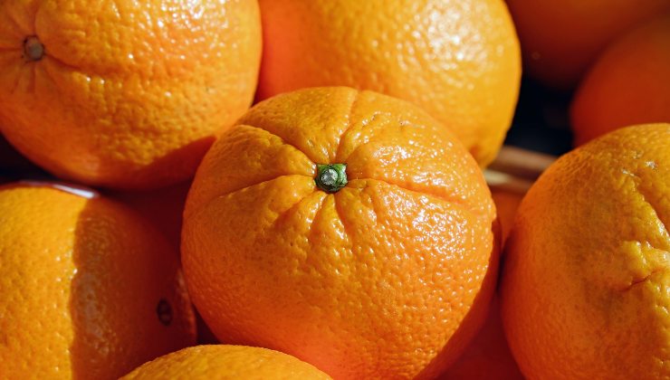 naranjas - cítricos