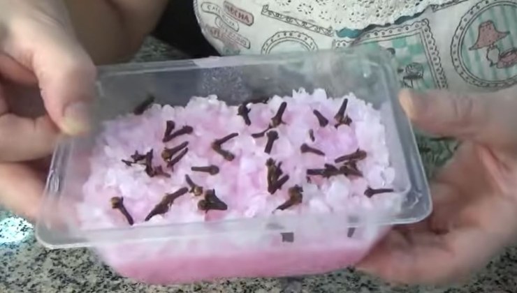 repelente de insectos naturales