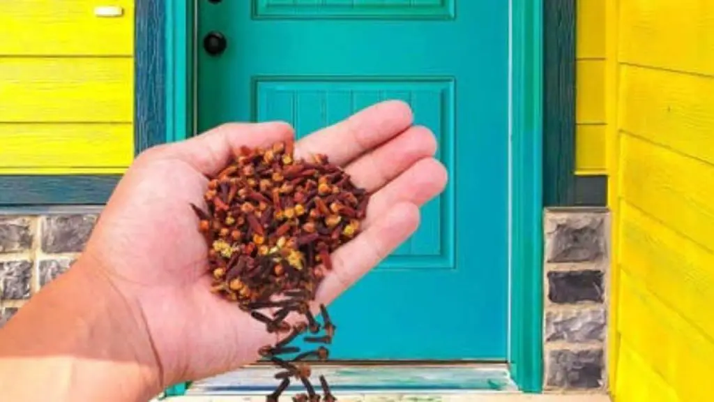 Clavo fuera de casa, porque en marzo casi todo el mundo empieza a hacerlo – Mis Consejos Jardinería