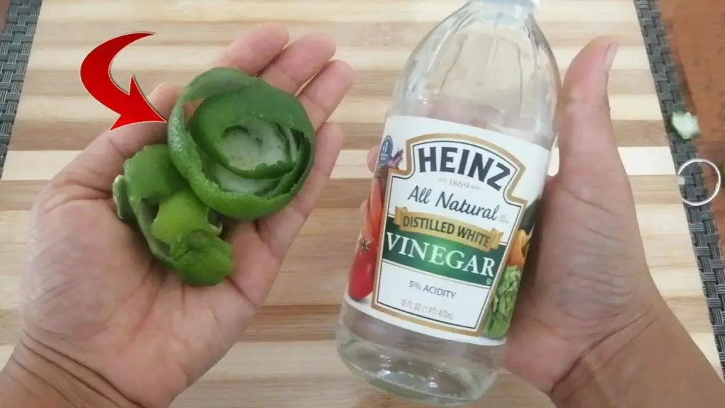 Cáscaras de limón con vinagre blanco, si las combinas ahorras mucho dinero – Mis Consejos Jardinería