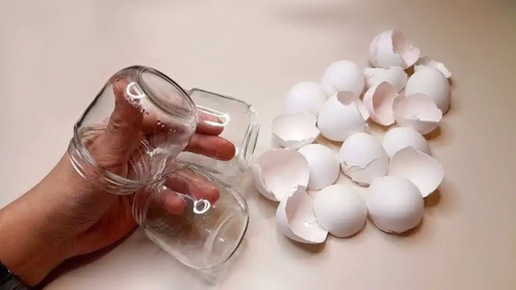 Frascos de vidrio y cáscaras de huevo, ¿nunca antes probado? Creas algo asombroso – Mis Consejos Jardinería