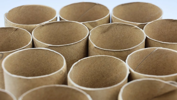 Rollos de papel higiénico