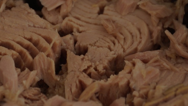 atún