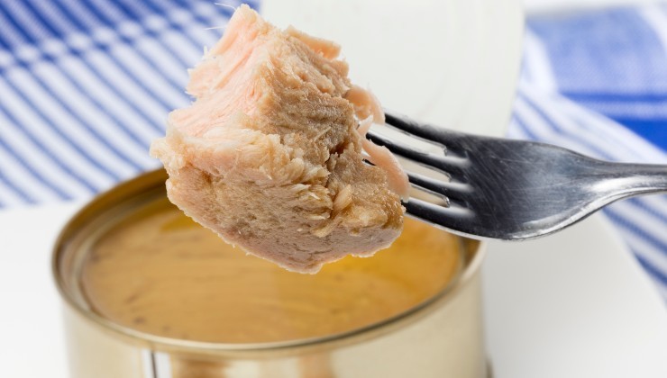 esta es la mejor marca de atun