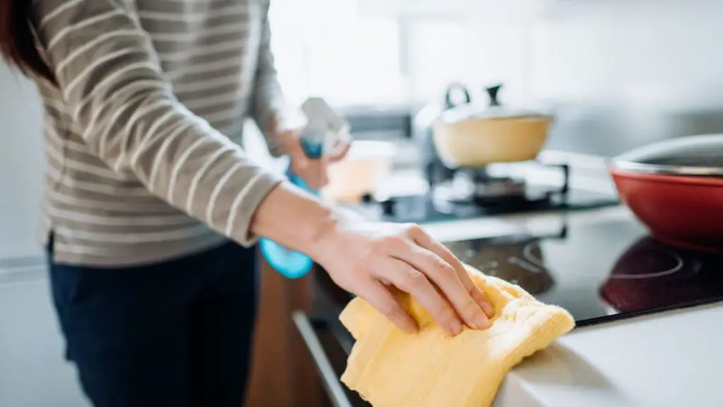 El truco de las señoras de la limpieza para hacer brillar toda la cocina en segundos – Mis Consejos Jardinería
