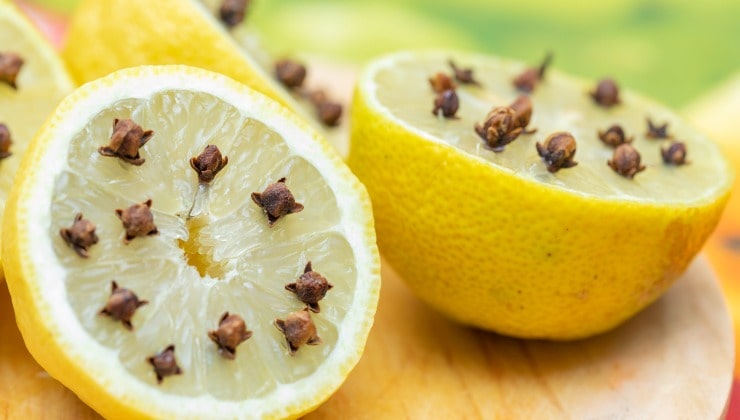 limón y clavo