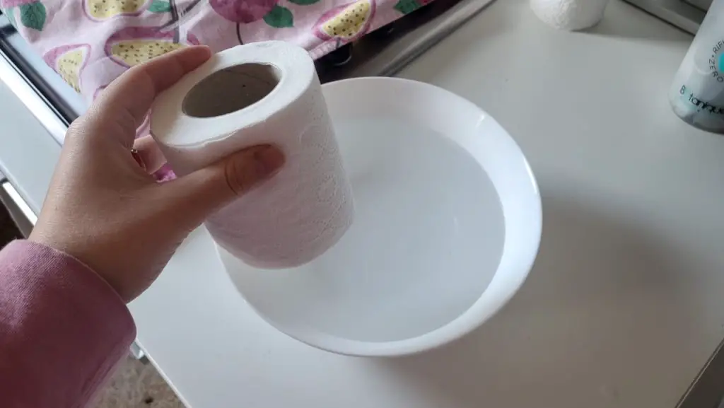 Sumerja un rollo de papel higiénico en agua hirviendo: no tiene idea de lo que podría crear – Mis Consejos Jardinería