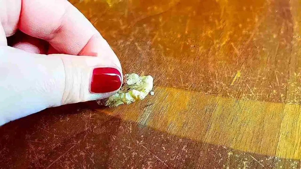 Elimine todas las marcas y rayones de los muebles de madera en 2 minutos con este ingrediente – Mis Consejos Jardinería