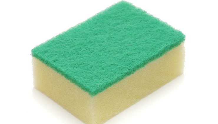 esponja para platos