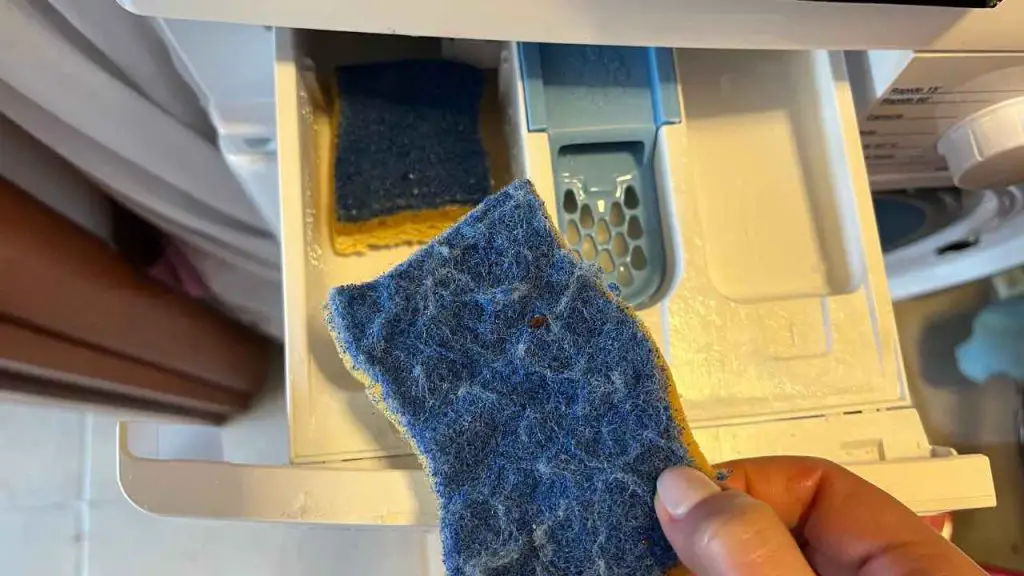 Ponga 2 esponjas para platos en el recipiente de la lavadora: nunca había tenido una colada como esta. – Mis Consejos Jardinería