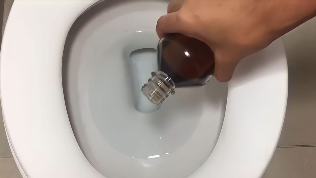 Revelado el truco casero para tener el baño libre de manchas, malos olores e insectos – Mis Consejos Jardinería