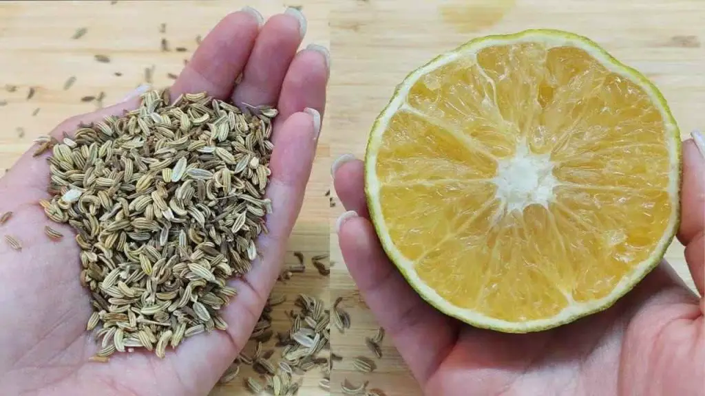 Mezcla una rodaja de limón con una pizca de romero: lo que pasa te sorprende – Mis Consejos Jardinería