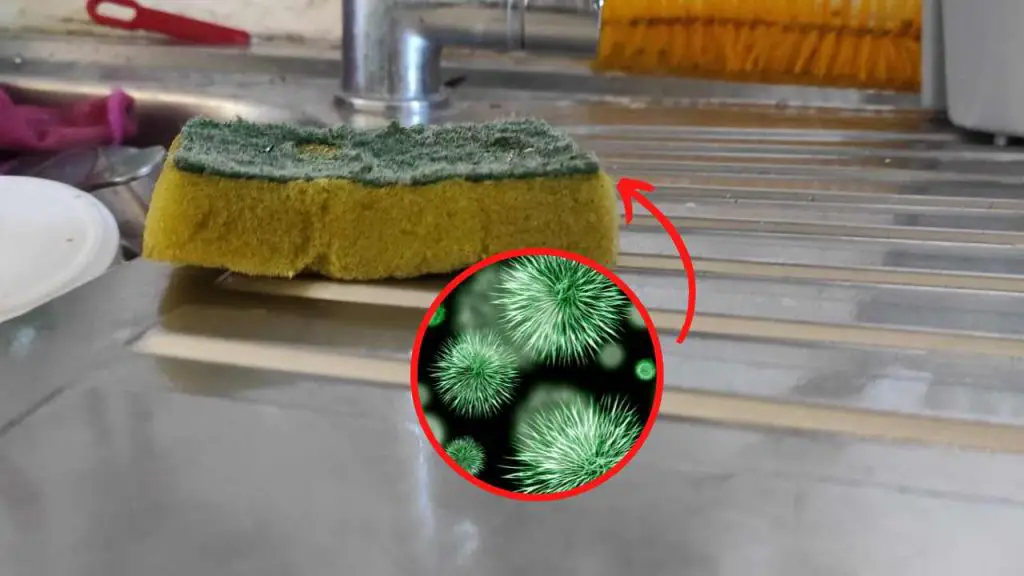 Las esponjas para platos están llenas de bacterias, está más sucia que el inodoro: cómo limpiarlo – Mis Consejos Jardinería