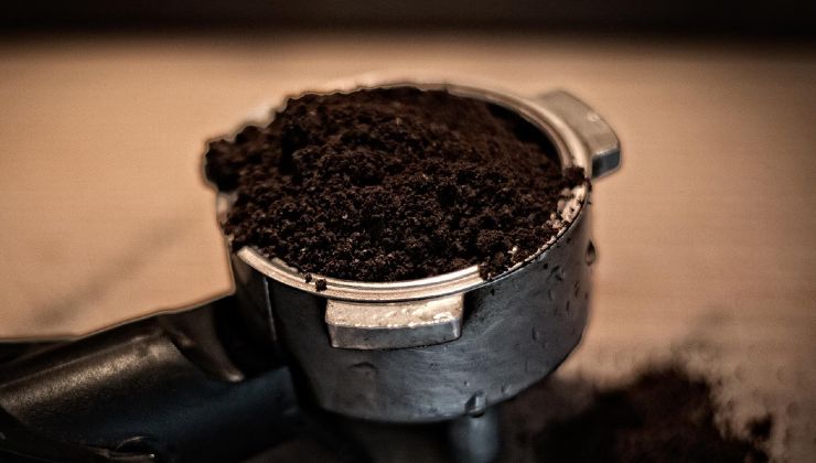 granos de café