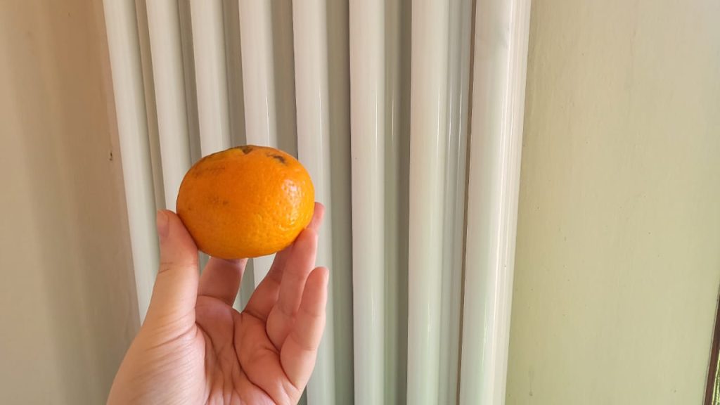 Pon esto en los radiadores si quieres perfumar toda la casa en cuestión de minutos – Mis Consejos Jardinería