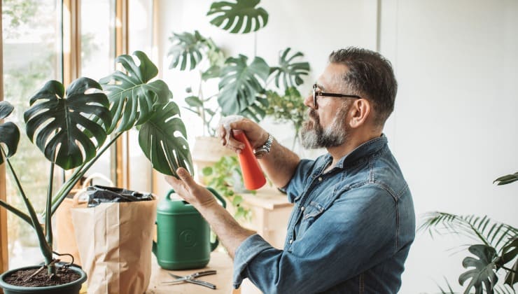 Rocíe fertilizante en las plantas