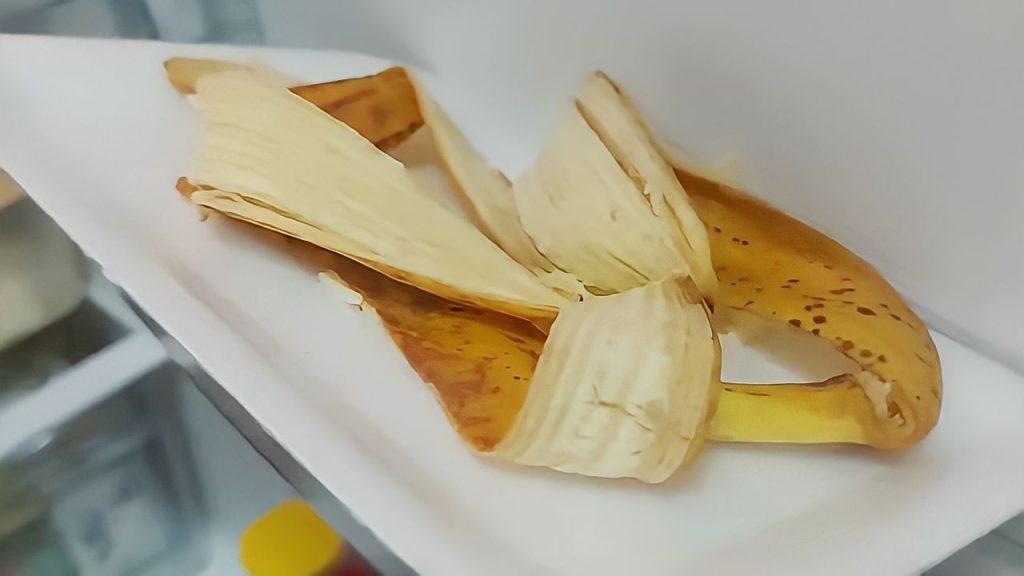Pon 1 cáscara de plátano en la nevera de tu casa, después de 15 minutos no vas a creer por qué – Mis Consejos Jardinería