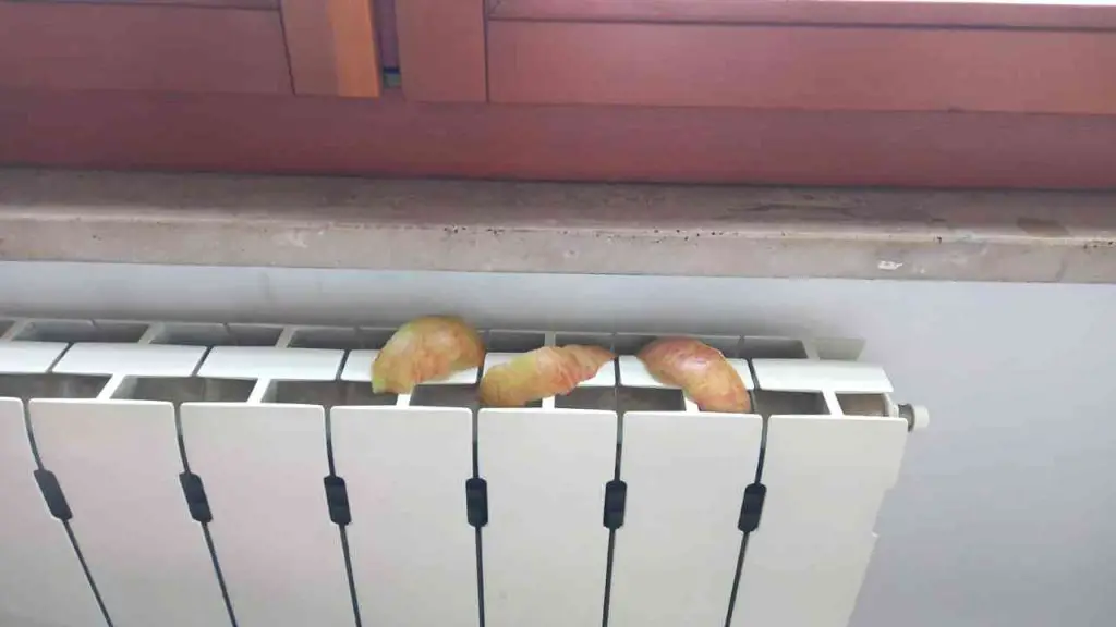 Es por eso que tantos han comenzado a poner cáscaras de manzana en los radiadores. – Mis Consejos Jardinería