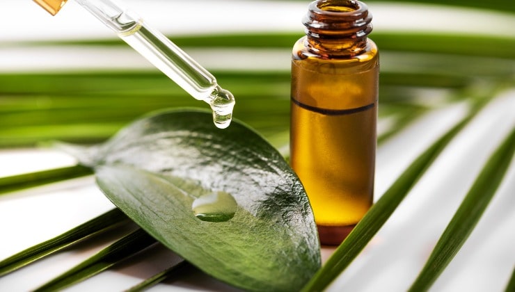 Aceite esencial de aceite de árbol de té