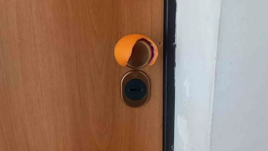 Con una piel de naranja en el pomo de la puerta resuelves un problema generalizado en la casa – Mis Consejos Jardinería