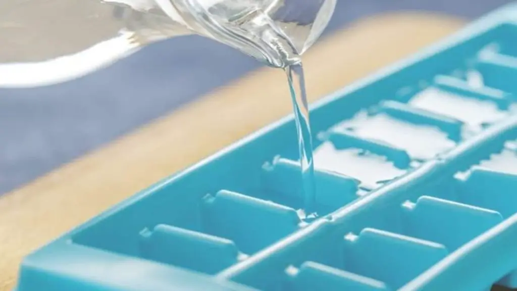 Vierta el agua hirviendo en el recipiente de hielo: porque mucha gente lo hace – Mis Consejos Jardinería