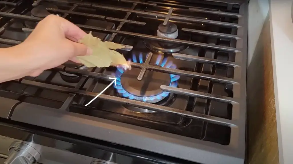 Queme 5 hojas de laurel en la estufa de la cocina: lo que sucede después – Mis Consejos Jardinería