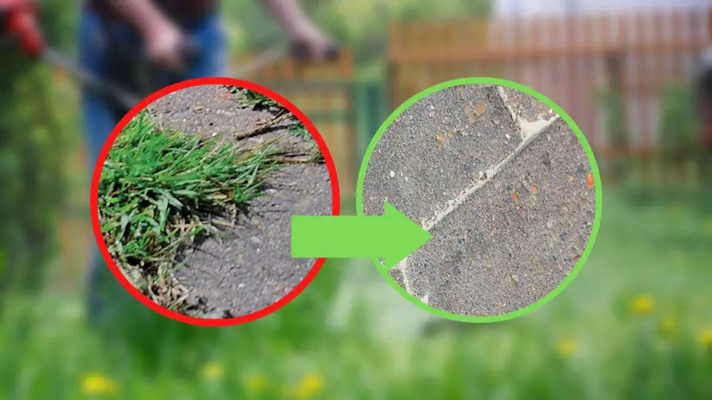 No más malas hierbas en el jardín con este remedio natural y de efecto inmediato – Mis Consejos Jardinería