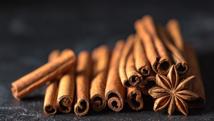 canela y antiguas creencias