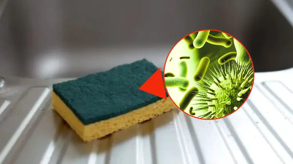 ¿Después de cuántos días se debe tirar la esponja para platos? Tiene más bacterias que un inodoro. – Mis Consejos Jardinería