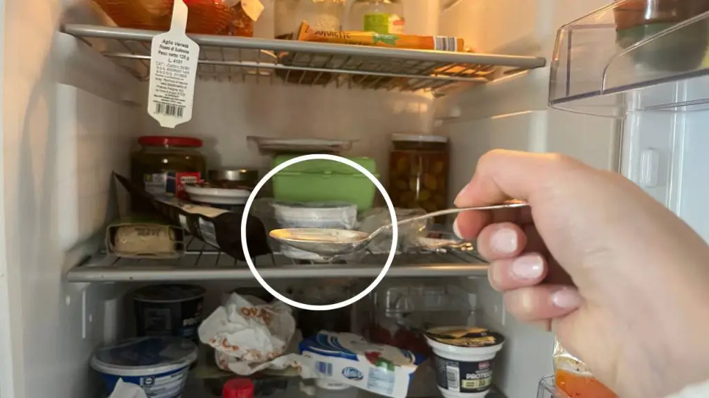 No más olor a podrido, carne o pescado en la nevera con esta solución rápida y eficaz – Mis Consejos Jardinería