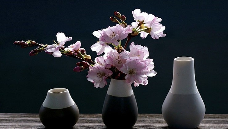Ramas de flor de cerezo