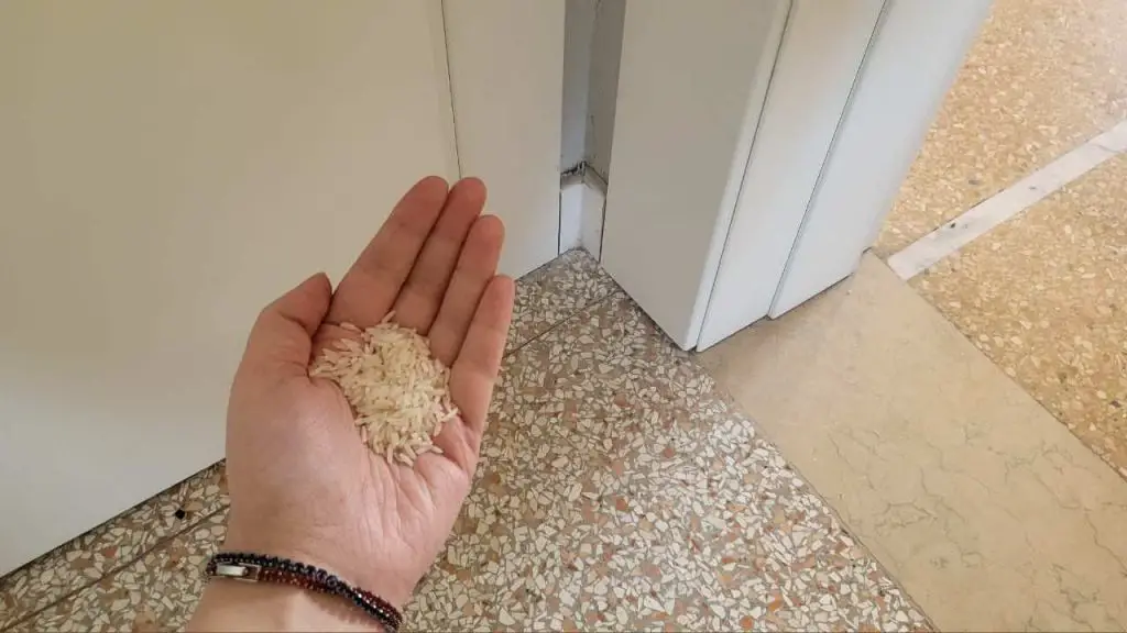 Poner un puñado de arroz en los rincones de la casa: la vieja costumbre de nuestros abuelos – Mis Consejos Jardinería