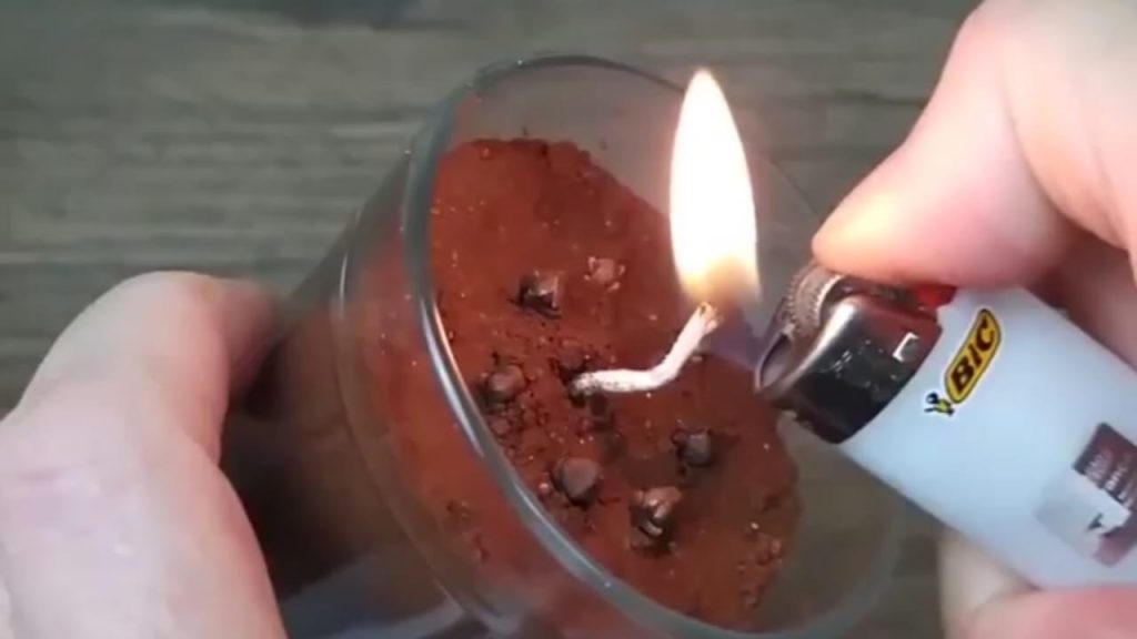 Ya no verás ningún tipo de insecto en tu casa 15 segundos después de hacer esto – Mis Consejos Jardinería