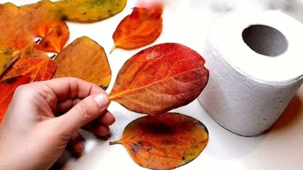 Todo lo que necesitas son 10 hojas y un rollo de papel higiénico para crear algo único. – Mis Consejos Jardinería