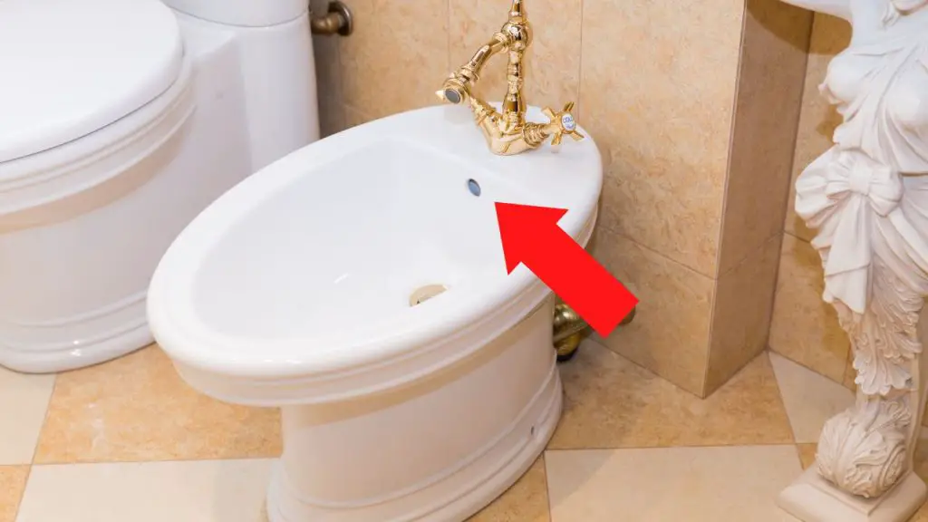 ¿Para qué sirve el segundo agujero del bidé del baño? Es muy útil pero todos lo ignoran. – Mis Consejos Jardinería