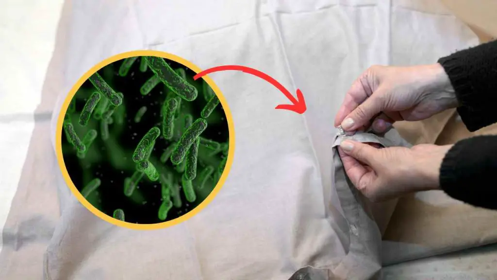 Fundas de almohada llenas de bacterias, ¿con qué frecuencia hay que cambiarlas? aquí está la respuesta – Mis Consejos Jardinería
