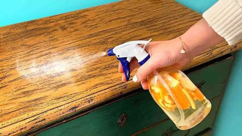 Polillas en muebles de madera, cómo deshacerse de ellas de inmediato: simplemente rocíe esto – Mis Consejos Jardinería