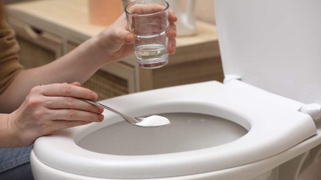Inodoro limpio y reluciente sin siquiera mover un dedo – Mis Consejos Jardinería