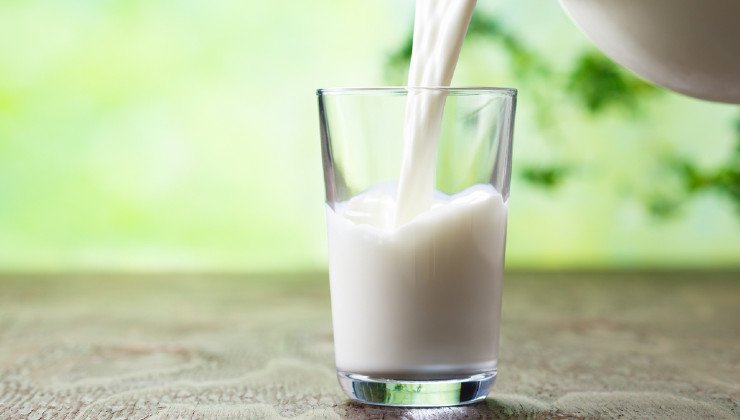 vaso de leche tibia