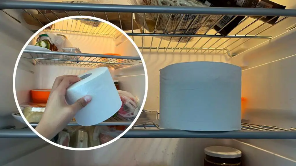 Papel higiénico, ¿por qué todo el mundo lo deja en la nevera? Te ahorra en minutos – Mis Consejos Jardinería