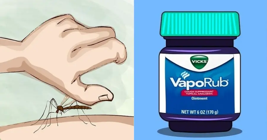 Vicks Vaporub : 11 usos desconocidos en problemas cotidianos que mejorarán tu estilo de vida – Mis Consejos Jardinería