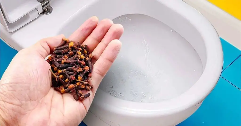Pon clavos en el inodoro: Esta es la solución para un problema común. – Mis Consejos Jardinería