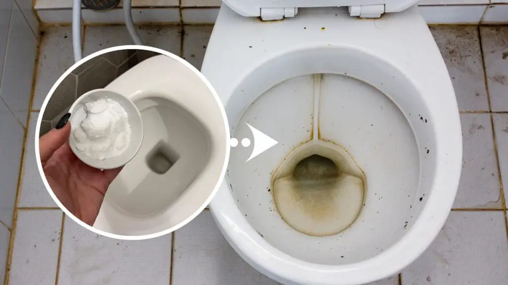 Adiós a las manchas en el fondo del inodoro sin lejía: el método 100% natural – Mis Consejos Jardinería