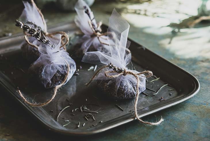 bolsas de plantas