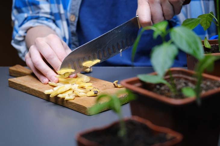 Cortar las cáscaras de plátano en trozos pequeños para usar como fertilizante para plantas