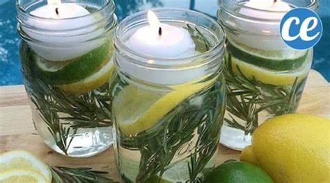 Repelente de mosquitos 100% natural – Mis Consejos Jardinería