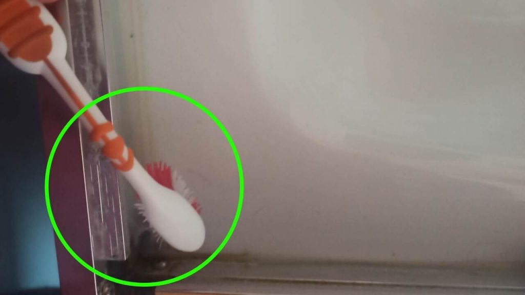 Trucos para eliminar el moho de las esquinas del baño y la ducha – Mis Consejos Jardinería